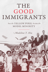 Cover image: The Good Immigrants 9780691164021