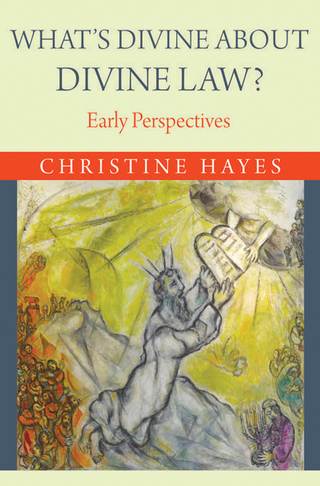 Titelbild: What's Divine about Divine Law? 9780691176253