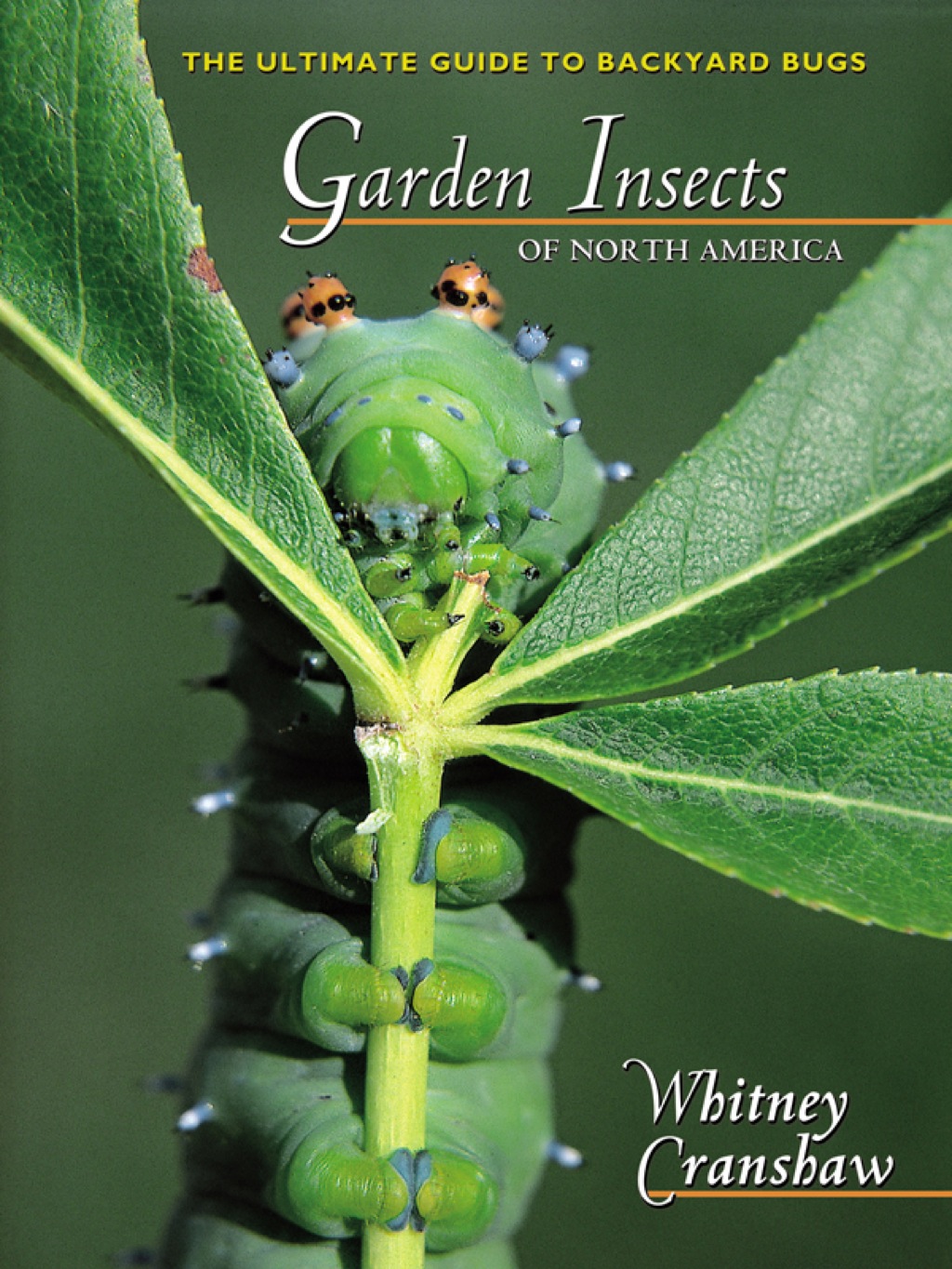 Garden Insects of North America