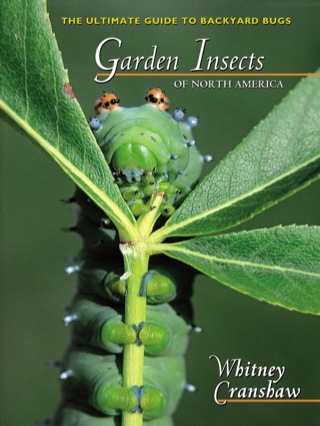 表紙画像: Garden Insects of North America 9780691095615