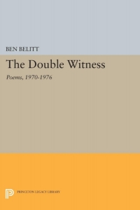 Cover image: The Double Witness 9780691609379