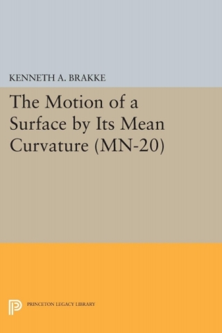Imagen de portada: The Motion of a Surface by Its Mean Curvature 9780691639512
