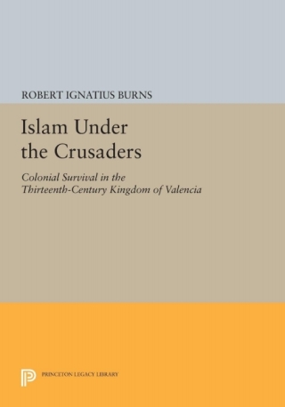 Imagen de portada: Islam Under the Crusaders 9780691645513