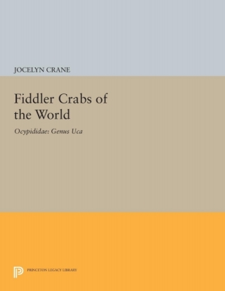 Immagine di copertina: Fiddler Crabs of the World 9780691081021