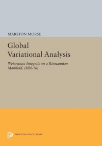 表紙画像: Global Variational Analysis 9780691617251