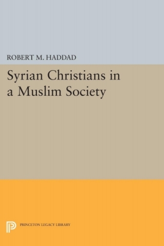 表紙画像: Syrian Christians in a Muslim Society 9780691620763