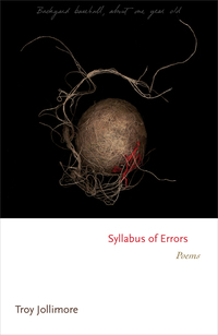 Cover image: Syllabus of Errors 9780691167589