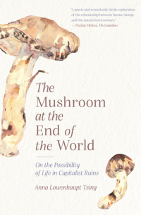 Immagine di copertina: The Mushroom at the End of the World 9780691178325