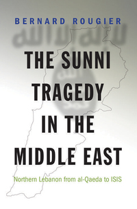 Imagen de portada: The Sunni Tragedy in the Middle East 9780691177939