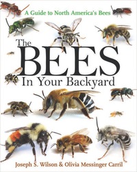 Immagine di copertina: The Bees in Your Backyard 9780691160771