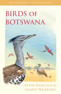 صورة الغلاف: Birds of Botswana 9780691157177