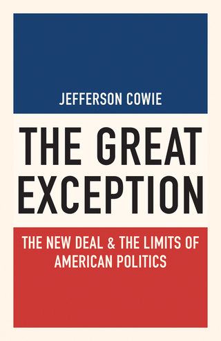 表紙画像: The Great Exception 9780691143804