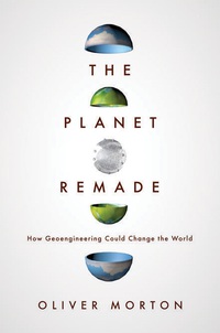 Immagine di copertina: The Planet Remade 9780691148250