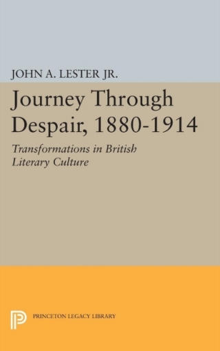 Imagen de portada: Journey Through Despair, 1880-1914 9780691649191