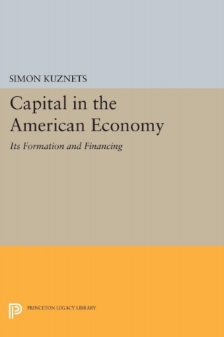 Imagen de portada: Capital in the American Economy 9780691041148