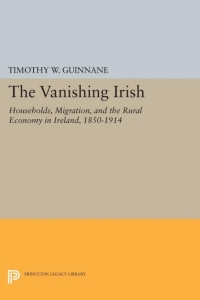 表紙画像: The Vanishing Irish 9780691628141