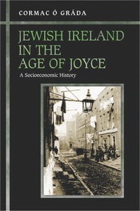 Titelbild: Jewish Ireland in the Age of Joyce 9780691171050