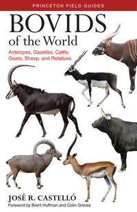 Cover image: Bovids of the World 9780691167176