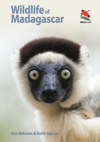 Omslagafbeelding: Wildlife of Madagascar 9780691161716