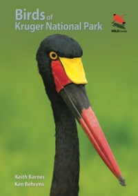 صورة الغلاف: Birds of Kruger National Park 9780691161266