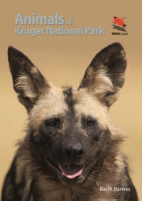 Imagen de portada: Animals of Kruger National Park 9780691161785