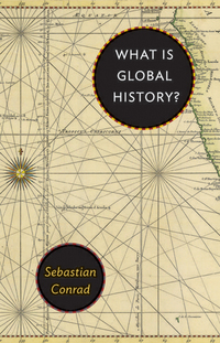 Cover image: What Is Global History? 9780691155258