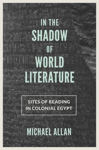 صورة الغلاف: In the Shadow of World Literature 9780691167831