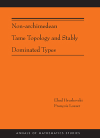 صورة الغلاف: Non-Archimedean Tame Topology and Stably Dominated Types (AM-192) 9780691161693