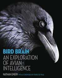 Cover image: Bird Brain 9780691165172