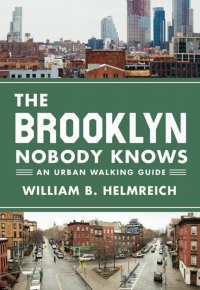 Immagine di copertina: The Brooklyn Nobody Knows 9780691166827