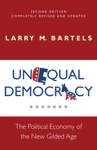صورة الغلاف: Unequal Democracy 2nd edition 9780691181073