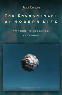 表紙画像: The Enchantment of Modern Life 9780691088129