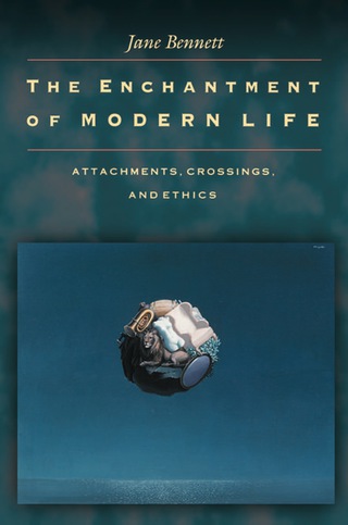 Imagen de portada: The Enchantment of Modern Life 9780691088129