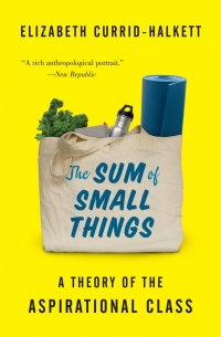 Imagen de portada: The Sum of Small Things 9780691162737