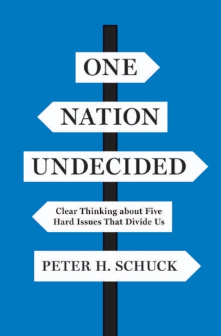 Cover image: One Nation Undecided 9780691167435
