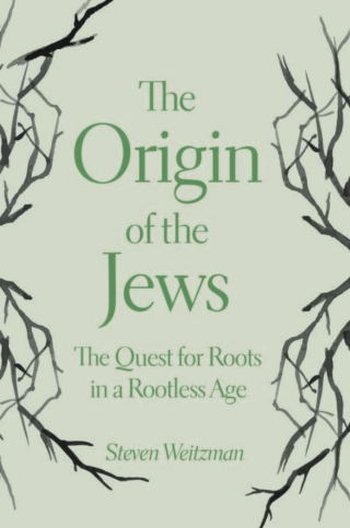 Immagine di copertina: The Origin of the Jews 9780691191652