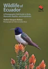 صورة الغلاف: Wildlife of Ecuador 9780691161365
