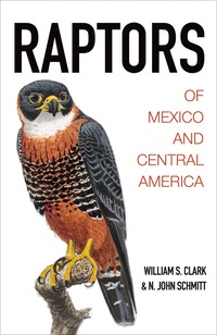 Omslagafbeelding: Raptors of Mexico and Central America 9780691116495