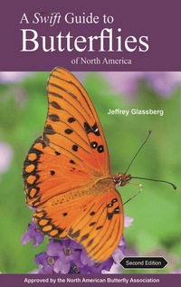 صورة الغلاف: A Swift Guide to Butterflies of North America 2nd edition 9780691176505