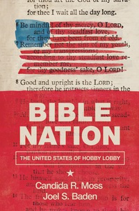 Titelbild: Bible Nation 9780691177359