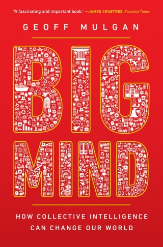 Cover image: Big Mind 9780691196169
