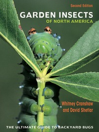 表紙画像: Garden Insects of North America 2nd edition 9780691167442