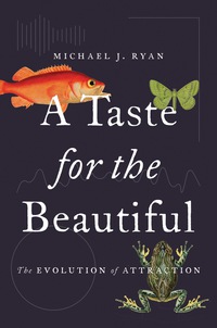 Immagine di copertina: A Taste for the Beautiful 9780691167268