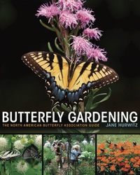 Titelbild: Butterfly Gardening 9780691170343