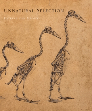 Immagine di copertina: Unnatural Selection 9780691254050