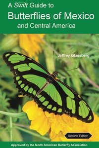 表紙画像: A Swift Guide to Butterflies of Mexico and Central America 2nd edition 9780691176482