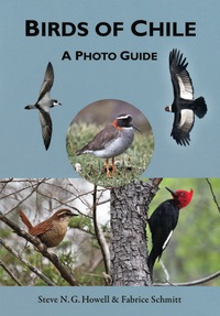 Imagen de portada: Birds of Chile 9780691167398