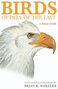 Titelbild: Birds of Prey of the East 9780691117058