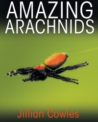 Cover image: Amazing Arachnids 9780691176581