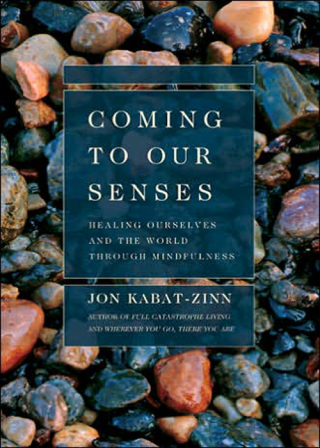 Cover image: Coming to Our Senses 9780786867561